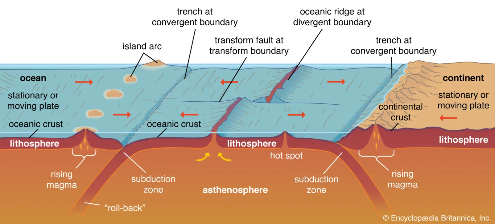 Lithosphere cross-section
